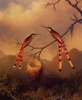 Heade, Martin Johnson - Two Hummingbirds with Their Young